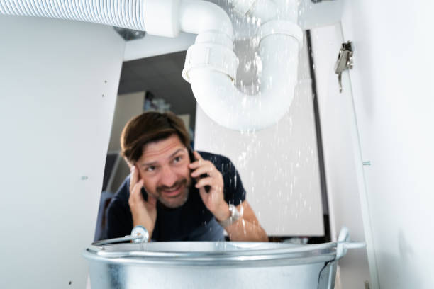 Best Clogged Drain Plumber  in Berwick, PA