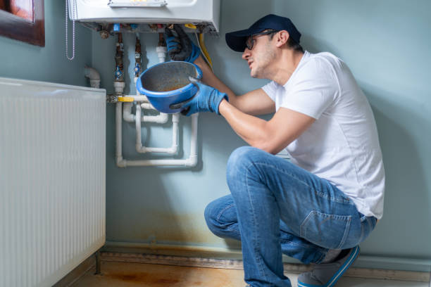 Best Local Plumber Services  in Berwick, PA